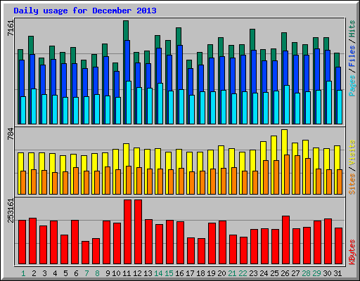 Daily usage for December 2013