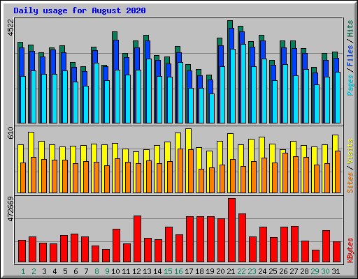 Daily usage for August 2020