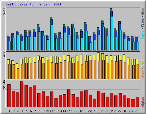 Daily usage for January 2021