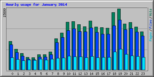 Hourly usage for January 2014