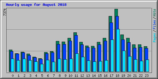 Hourly usage for August 2018