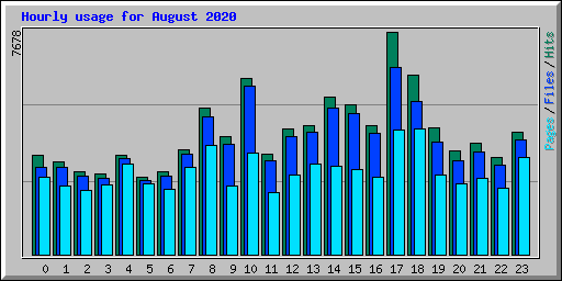 Hourly usage for August 2020