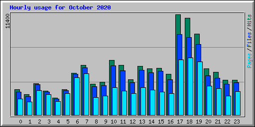 Hourly usage for October 2020