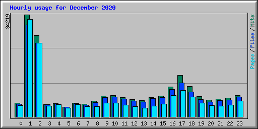 Hourly usage for December 2020