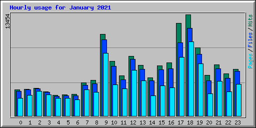 Hourly usage for January 2021