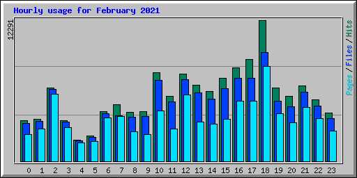 Hourly usage for February 2021