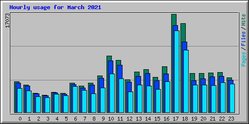 Hourly usage for March 2021