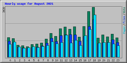 Hourly usage for August 2021
